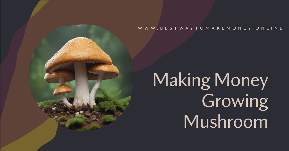 Making Money Growing Mushroom Guide to Profit