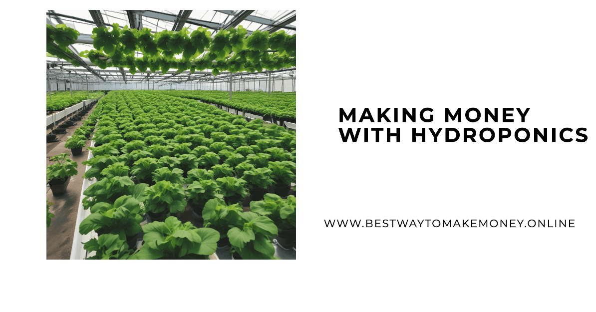 Making Money With Hydroponics